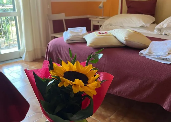 B&B La Lampara Castellabate